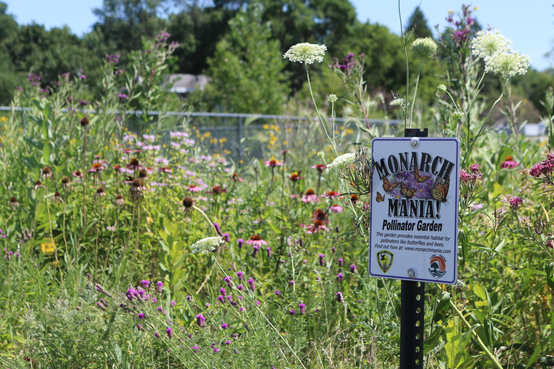 Monarch Mania sign